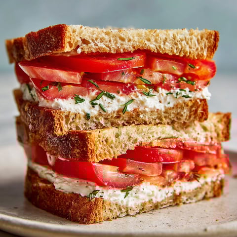 A sandwich with tomatoes and white cheese.